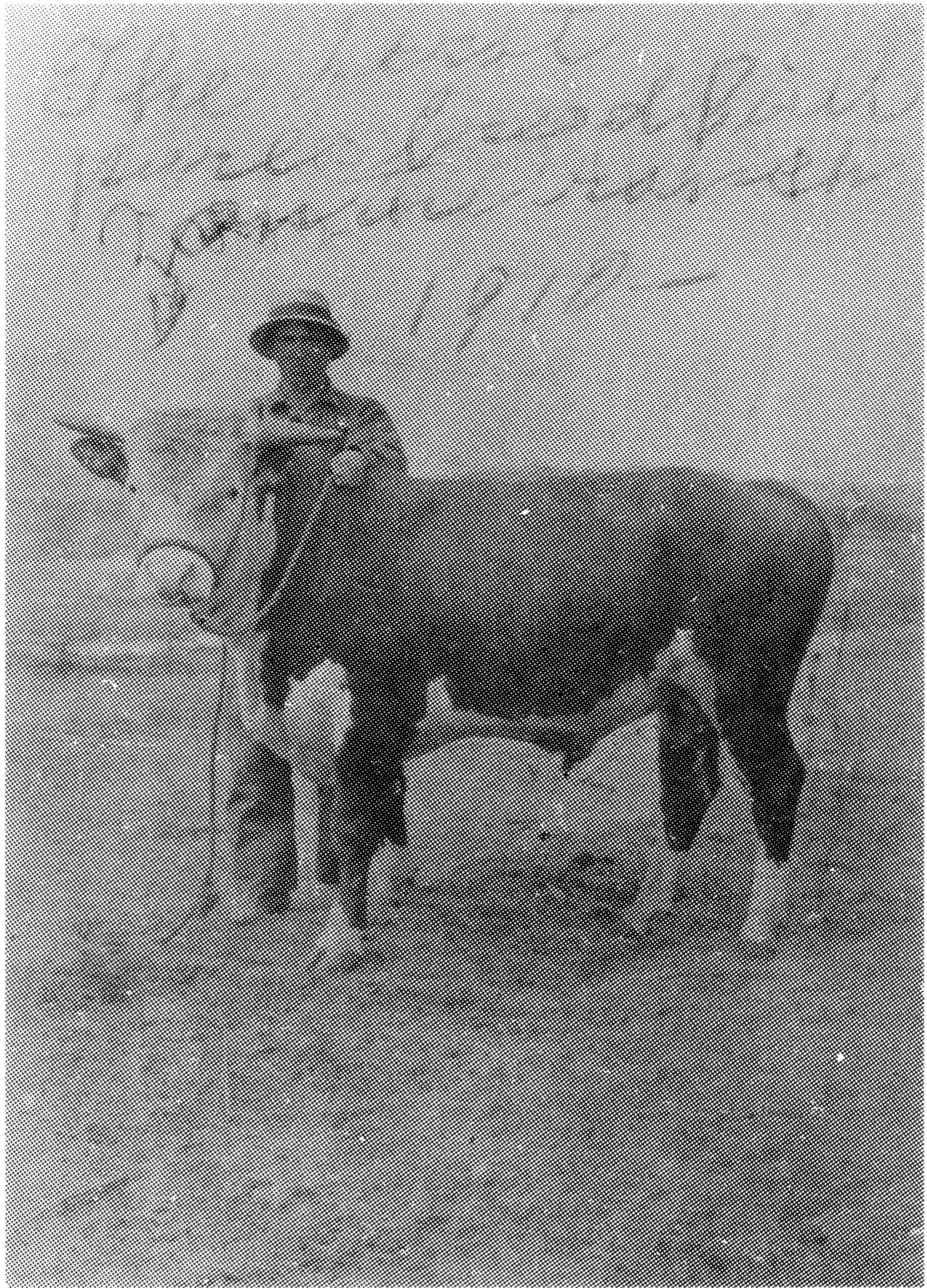 Photograph of Joe L'Heureux standing behind a purebred horned Hereford bull